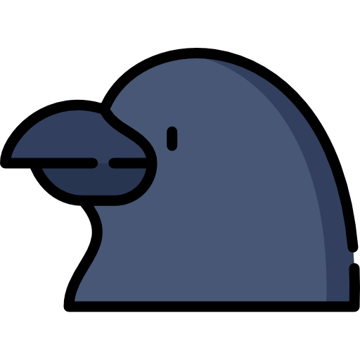 Logo of Raven