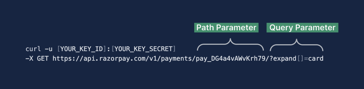 API Path and Query Parameters