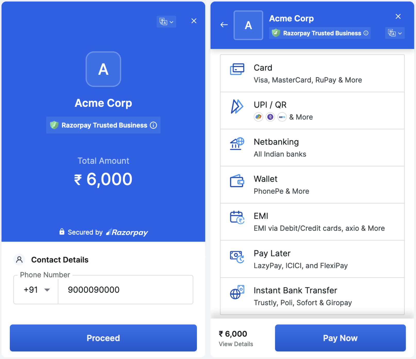 Razorpay Checkout screen showing various Cards, UPI and more payment methods like Wallet, EMI, Pay Later and Instant Bank Transfer for amount payable ₹6000.