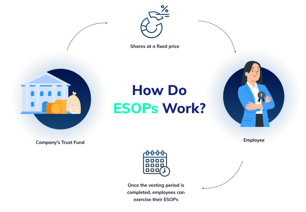 the-complete-guide-to-esops-razorpay-payroll